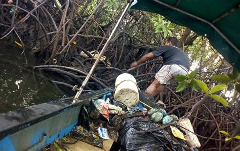 Menangani Sampah Plastik Pada Ekosistem Mangrove Dari Laut