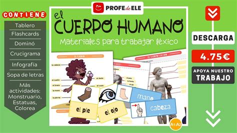 Vocabulario Del Cuerpo Humano En Español Profedeele