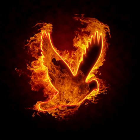 Dove On Fire Revival In Christ