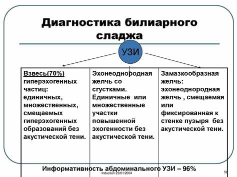 Дисфункция билиарного тракта Хронический бескаменный холецистит Картинка - Дисфункция билиарного тракта Хронический бескаменный холецистит