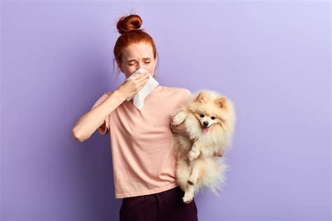 Alergia Na Psa Objawy I Leczenie PetPortal Pl