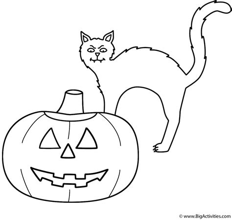 With the witch hat and collar, you have plenty of room to fully customize this spooky cat! Pumpkin/Jack-o-Lantern with black cat - Coloring Page ...