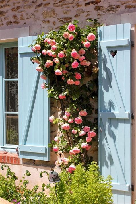 40 Admirable Eden Rose Garden To Enhance Your Beautiful Garden Rose