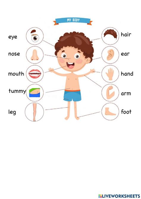 Body Parts Online Exercise For 2nd Live Worksheets