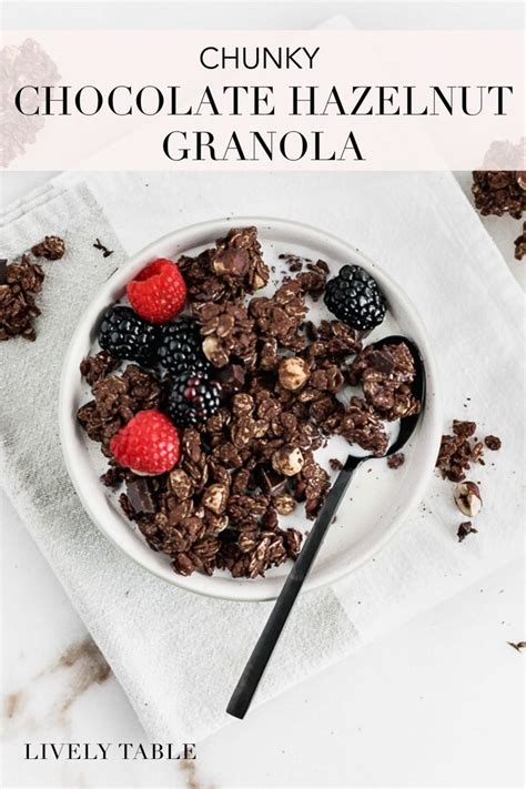 Chunky Chocolate Hazelnut Granola Recipe Granola Healthy Snacks