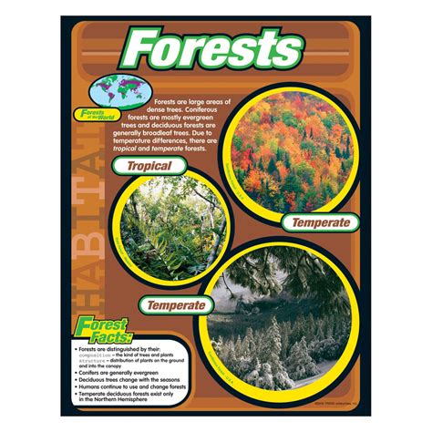 Nature Classroom Theme — Tagged Category Learning Charts — Trend