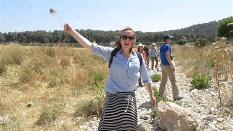 Slinging Stones In The Valley Of Elah Israel Youtube