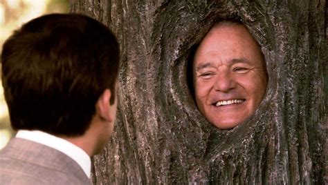 Pin On Bill Murray Revisited