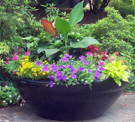 Containers With Pizazz Not Your Ordinary Container The Garden Diaries