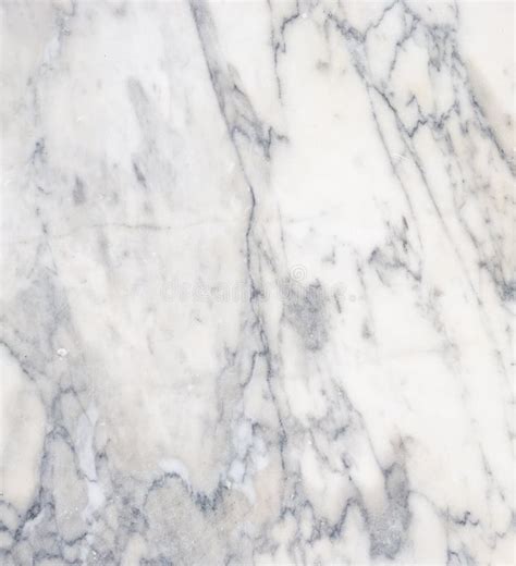 Carrara White Marble Texture Stock Photo Image Of Ceramic Floor