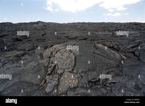 Pahoehoe Lava East Rift Zone Kilauea Volcano Big Island Hawaii Usa