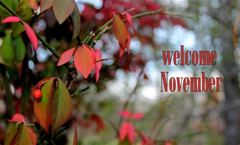 Welcome November Photos | Welcome november, Welcome november images, November images