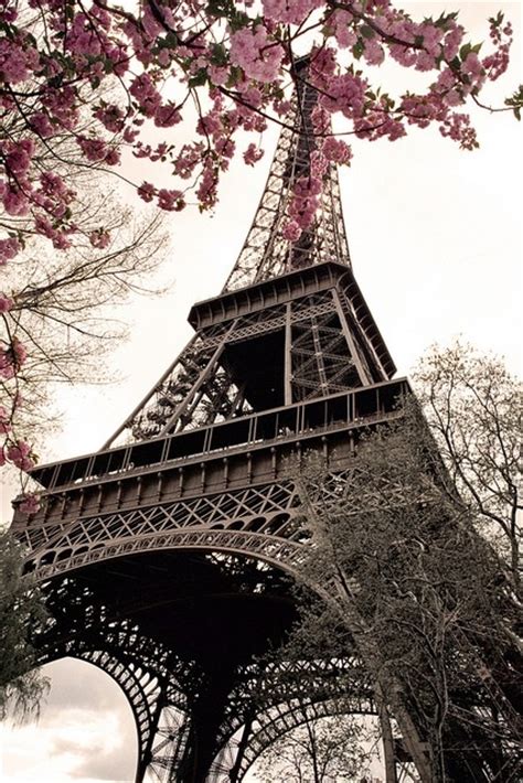 Eiffel Tower Love Paris Image 649344 On