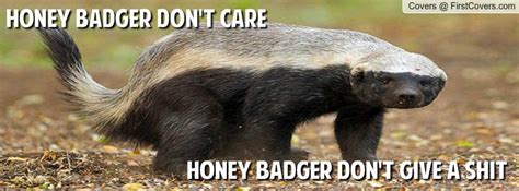 Honey Badger Dont Care Honey Badger Badger Facebook Cover