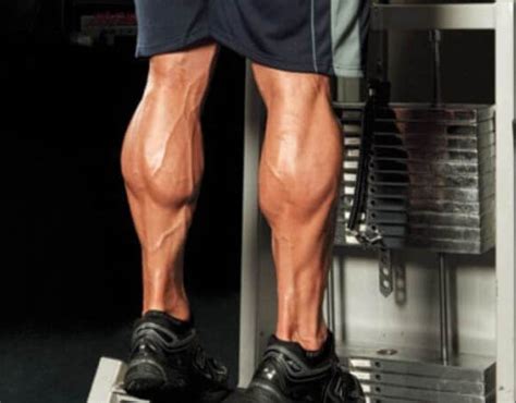 Best Calf Training High Or Low Reps