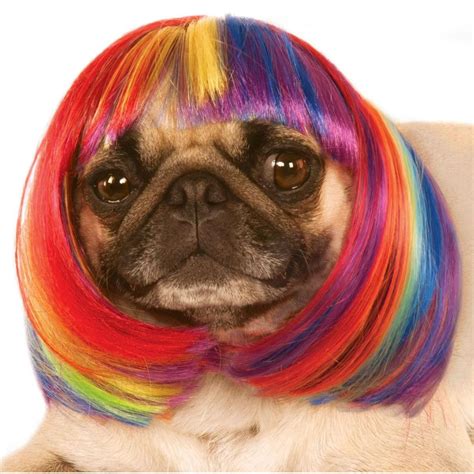 Rubies Rainbow Bob Wig Dog Costume Pet Costumes Dog With Wig