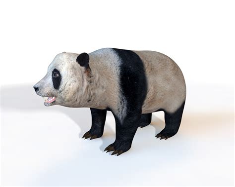 Artstation Panda 3d Model Resources