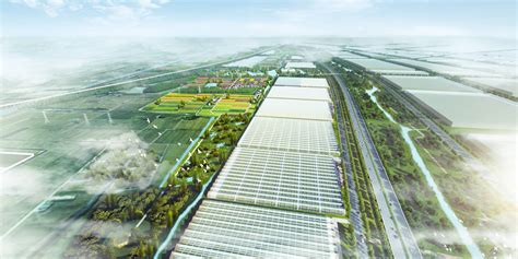Dutch Greenhouse Consortium Seals Chinese Joint Venture • Aiph