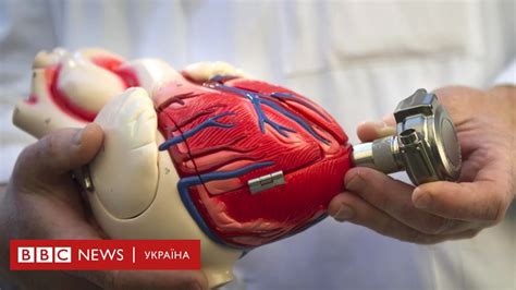 Чому наука досі не створила штучне серце bbc news Україна