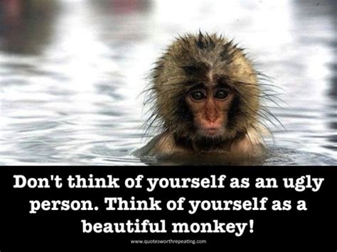 The higher a monkey climbs, the more you see of its behind. Funny Monkey Quotes And Sayings. QuotesGram