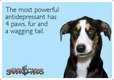 Rescuedog Dog Itsarescuedoglife I Love Dogs Puppy Love Dog Quotes