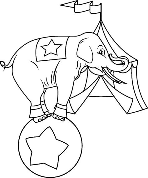 Circus Elephant In Front Of Circus Tent Coloring Pages
