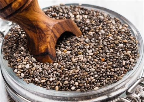 Chia Seeds Benefits चिया बीज के 6 बेहतरीन फायदे उपयोग और नुकसान