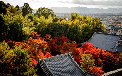 Enko Ji Temple From Above Inside Kyoto