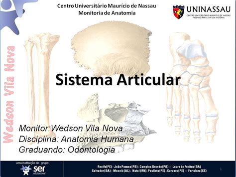 Sistema Articular Slide Anatomia Pr Tica Youtube