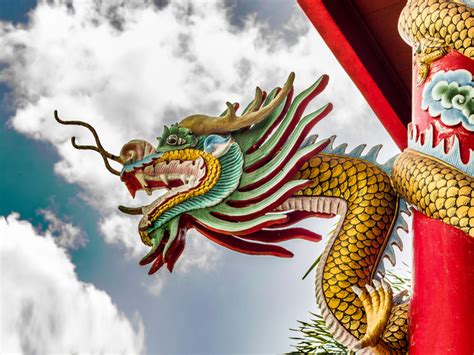 Tibet Time To Step On Dragons Tibet Toe Why India Needs To Gather