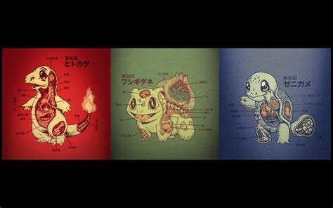 Pokemon Illustration Hd Wallpaper Wallpaper Flare