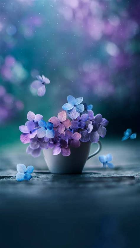 Beautiful Wallpaper Attractive Purple Flowers Download Free Mock Up