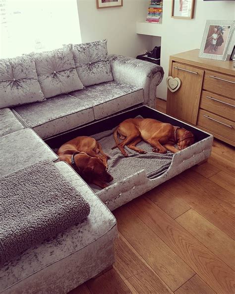 16 Best Corner Dog Beds Ideas Có Hình ảnh Nhà Cửa House Thiết Kế