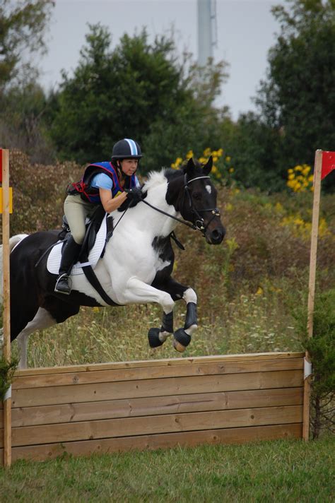 Top Fifteen Beginner Novice Horse Cross Country Photos At Aec