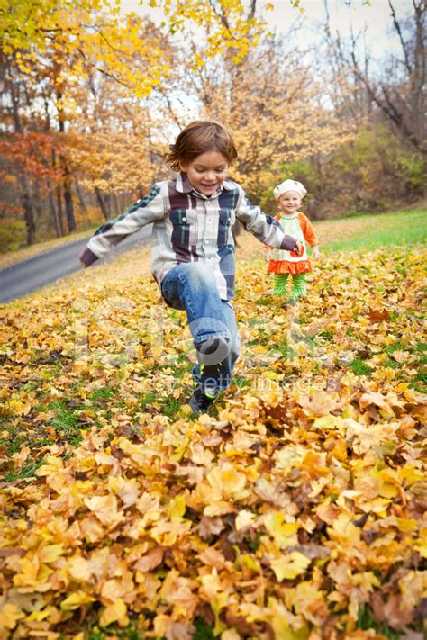 Children Playing In Fall Leaves Stock Photo Royalty Free Freeimages