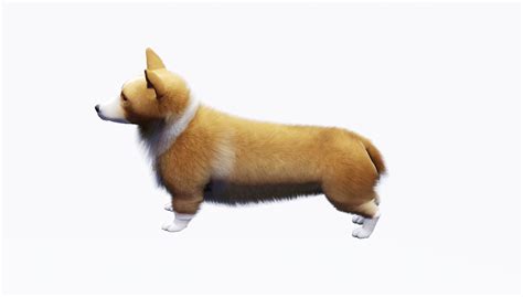 Mod The Sims Welsh Corgis