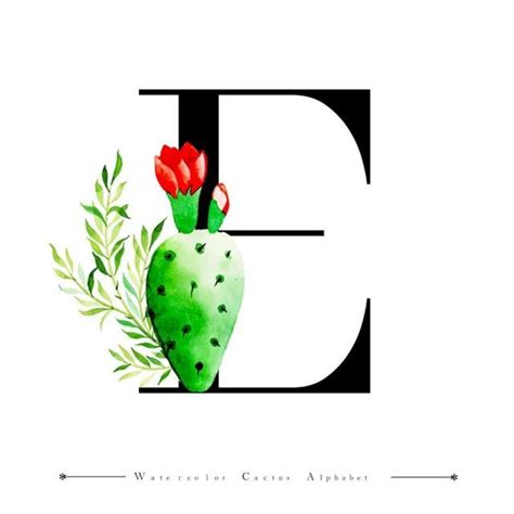 The word 'cactus' is made up of 6 letters. Alphabet Letter E With Watercolor Cactus And Leaves ...