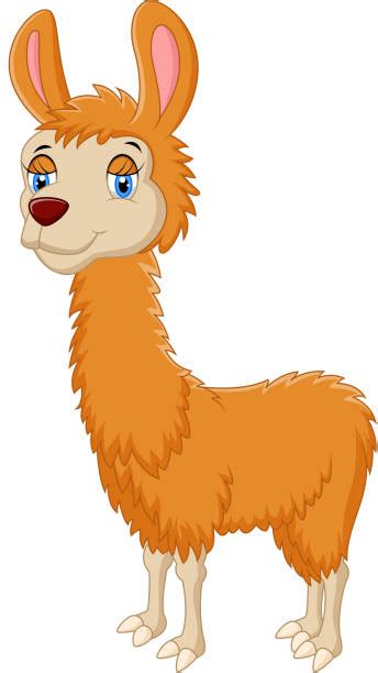Royalty Free Smiling Llama Clip Art Vector Images And Illustrations Istock