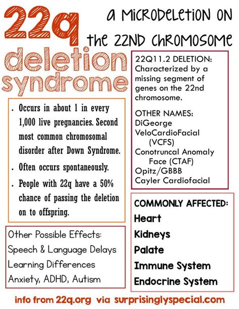Individuals with 22q11.2 deletion syndrome have a wide range of clinical presentations, and the manifestations may vary among affected individuals. 17 best images about DiGeorge Syndrome on Pinterest ...