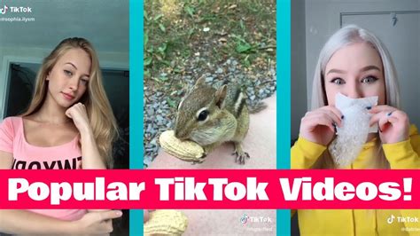 Follow creators who make you laugh, like @k.chh, who posts hilarious skits, or opt instead for adorable accounts like @cute_puppies12, which posts the tiniest dogs i've ever seen. Most Popular Tik Tok Videos October 2018! - YouTube