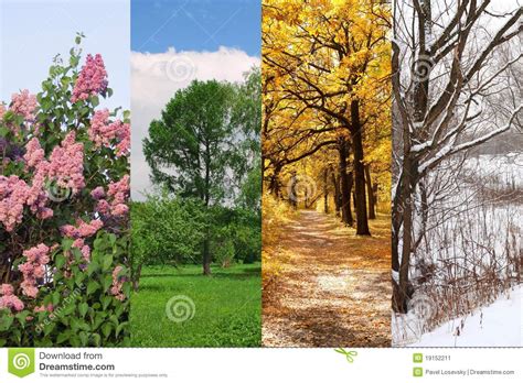 In spring we enjoy the first grass, green leaves and the first flowers. Four Seasons Spring, Summer, Autumn, Winter Stock Image ...