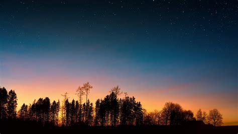 Starry Night Sky Trees Sunset Forest