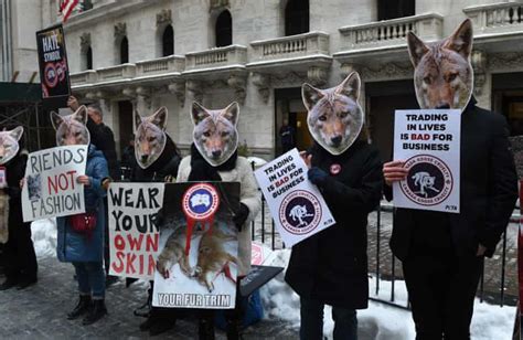 coyote fur is a booming fashion trend but is it ethical fashion the guardian