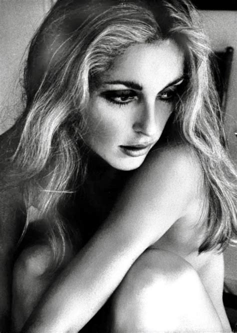 Sharon By James Silke Sharon Tate Lady Gaga Pictures Beauty