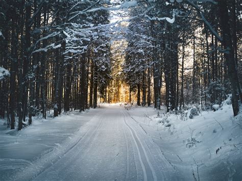 Best 100 Winter Scene Pictures Stunning 2019 Download Free