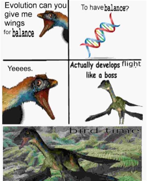 Want To See More Of These Evolutionary Memes Check Out Paleontology