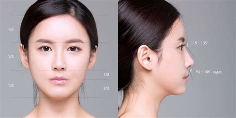 Rhinoplasty For A Short Nose All You Need To Know Центр