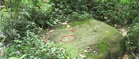 Pada telapak kaki kiri : Jelajah Purwakarta : BUKTI ..... TAPAK KAKI PRABU SILIWANGI