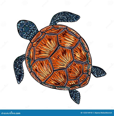 Vector Illustration Of A Sea Turtle Print On The Sea Theme Stock