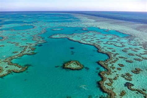 How Climate Change Impacts The Great Barrier Reef Tourism Industry